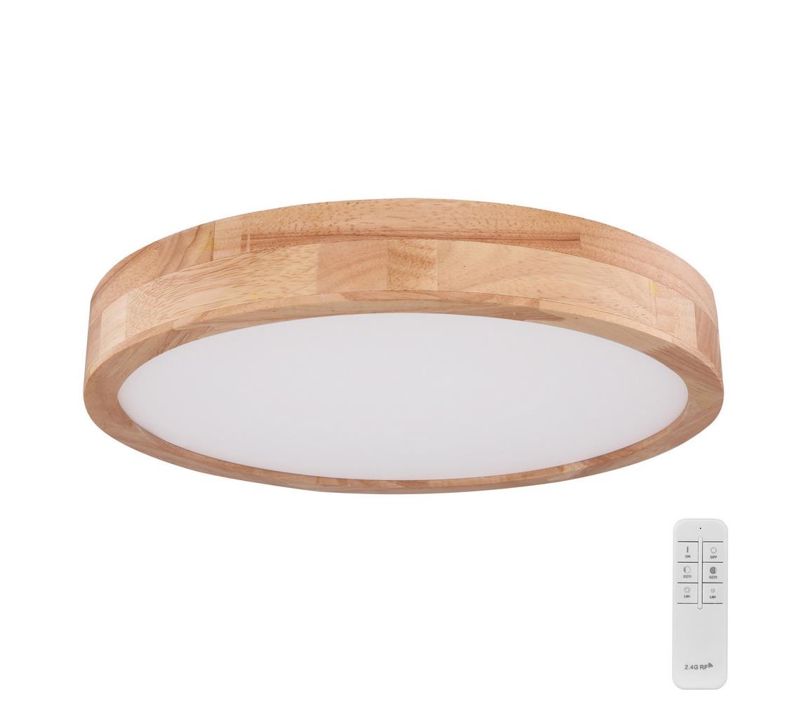 Globo 24 - LED Stmievateľné stropné svietidlo RAINER LED/24W/230V + DO