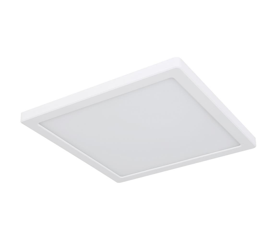 Globo 24W - LED Stropné svietidlo LASSE LED/24W/230V 3000/4000/6500K biela