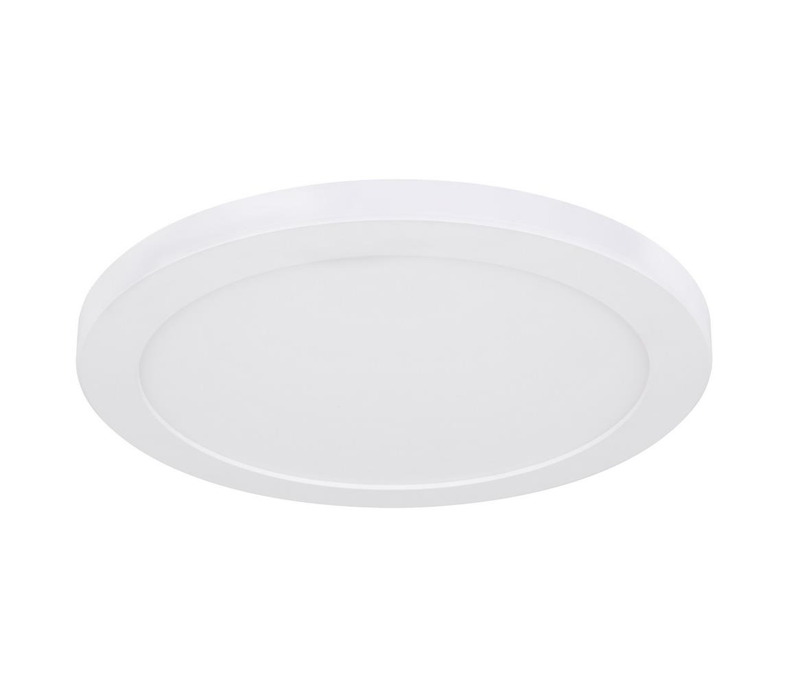 Globo 24W - LED Stropné svietidlo LASSE LED/24W/230V