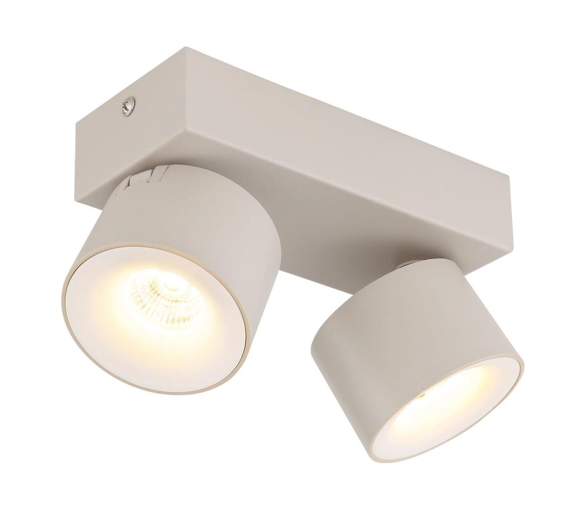 Globo 2S - LED bodové svietidlo RAE 2xLED/6W/230V 56961-2S