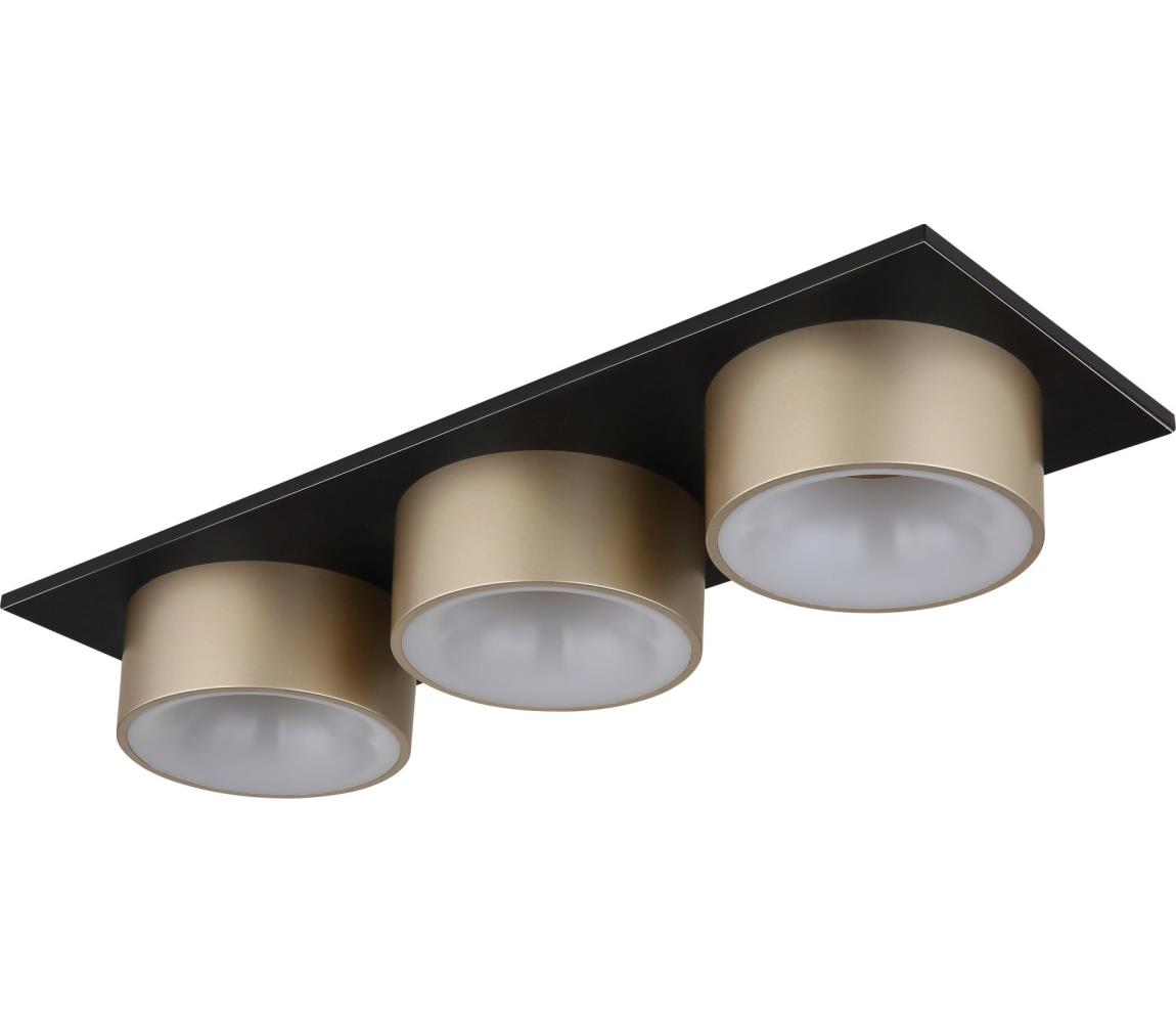 Globo 3 - LED stropné svietidlo RAYMOND LED/24W/230V 3000K 58x20 cm béžové