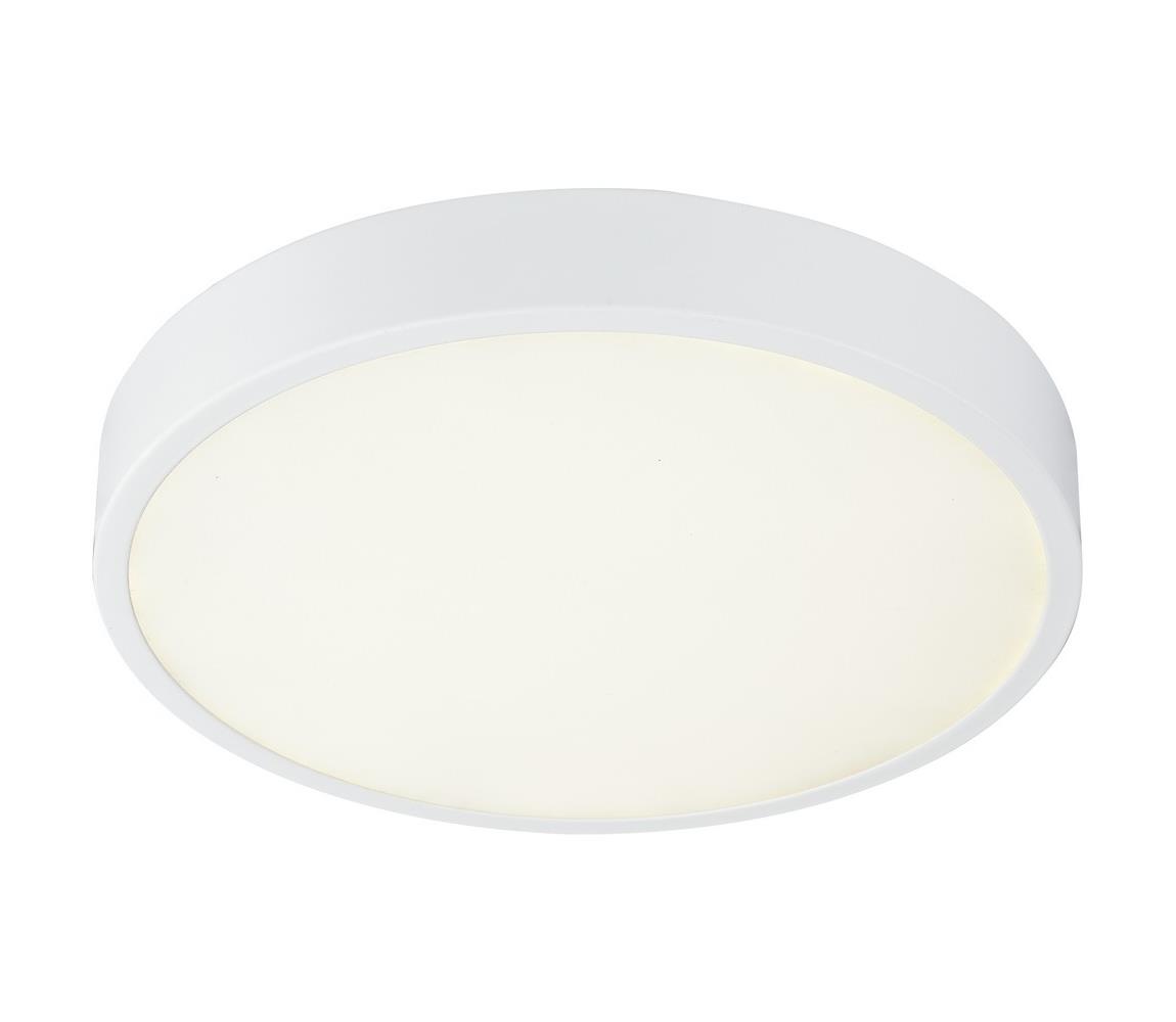 Globo 30 - LED Stmievateľné stropné svietidlo LED/28W/230V