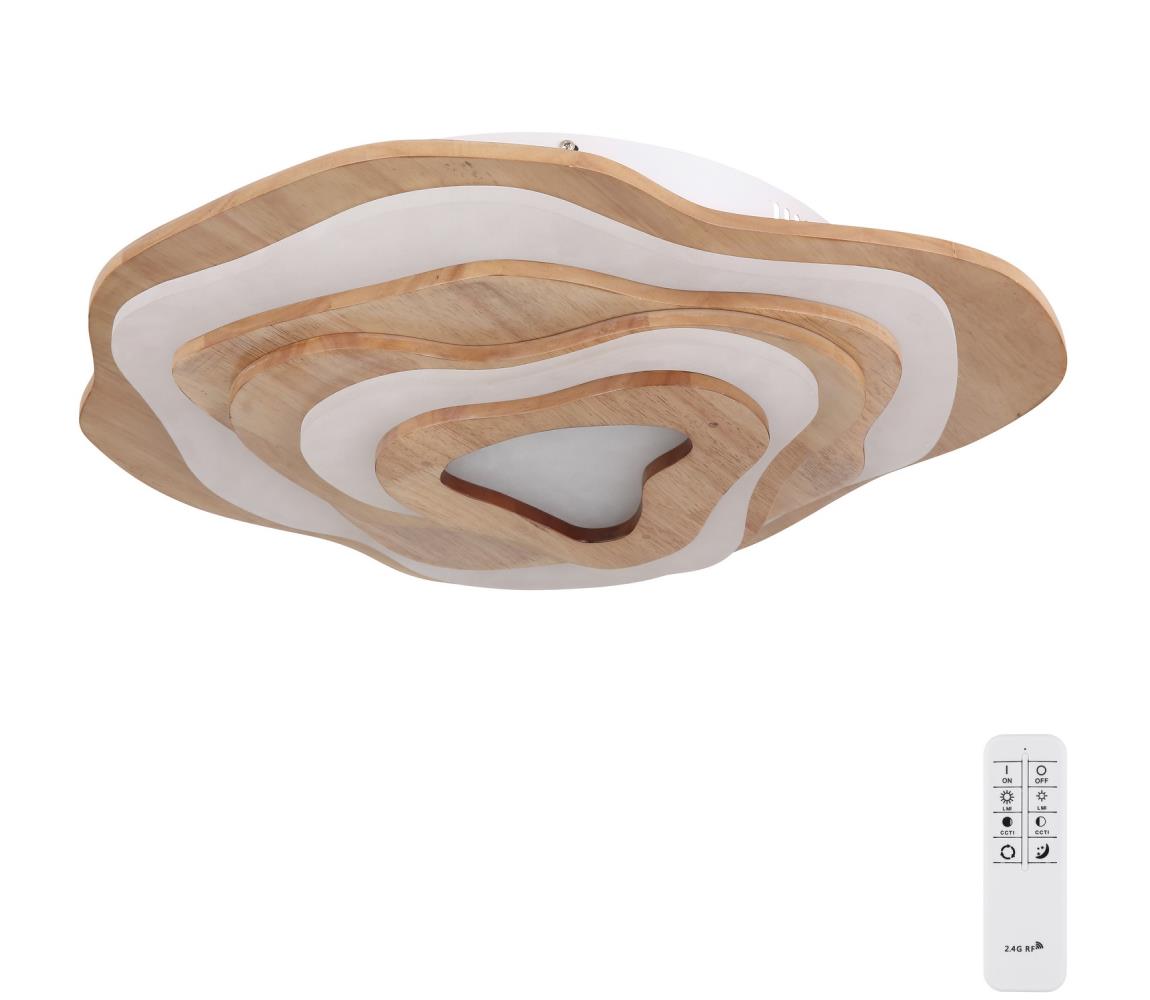 Globo 40 - LED Stmievateľné stropné svietidlo JACKS LED/40W/230V + DO