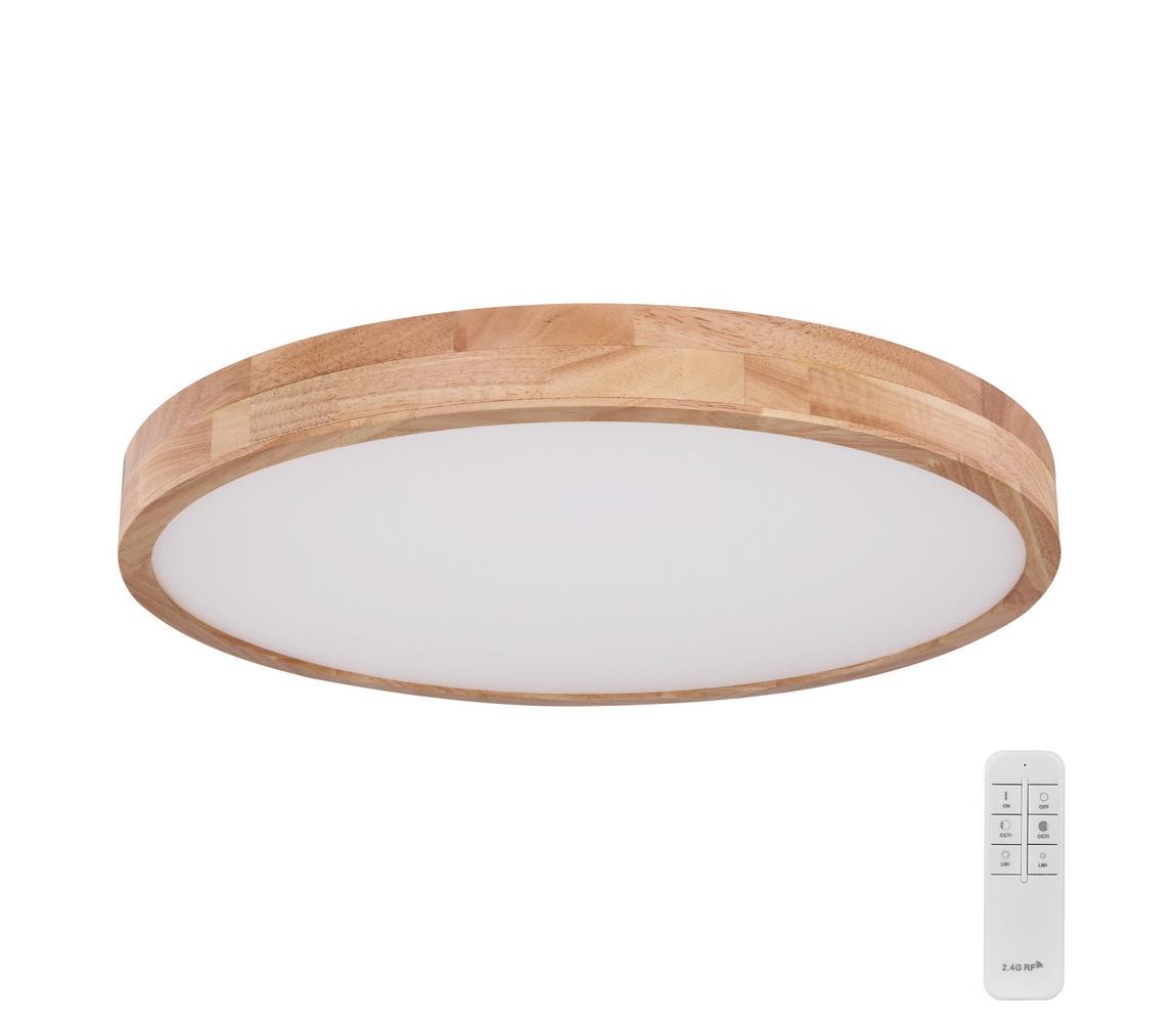 Globo 48 - LED Stmievateľné stropné svietidlo RAINER LED/48W/230V + DO