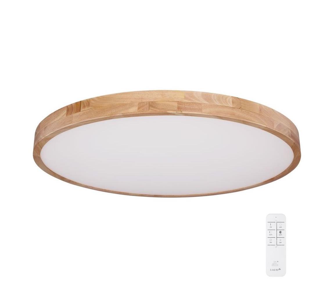 Globo 60 - LED Stmievateľné stropné svietidlo RAINER LED/60W/230V + DO