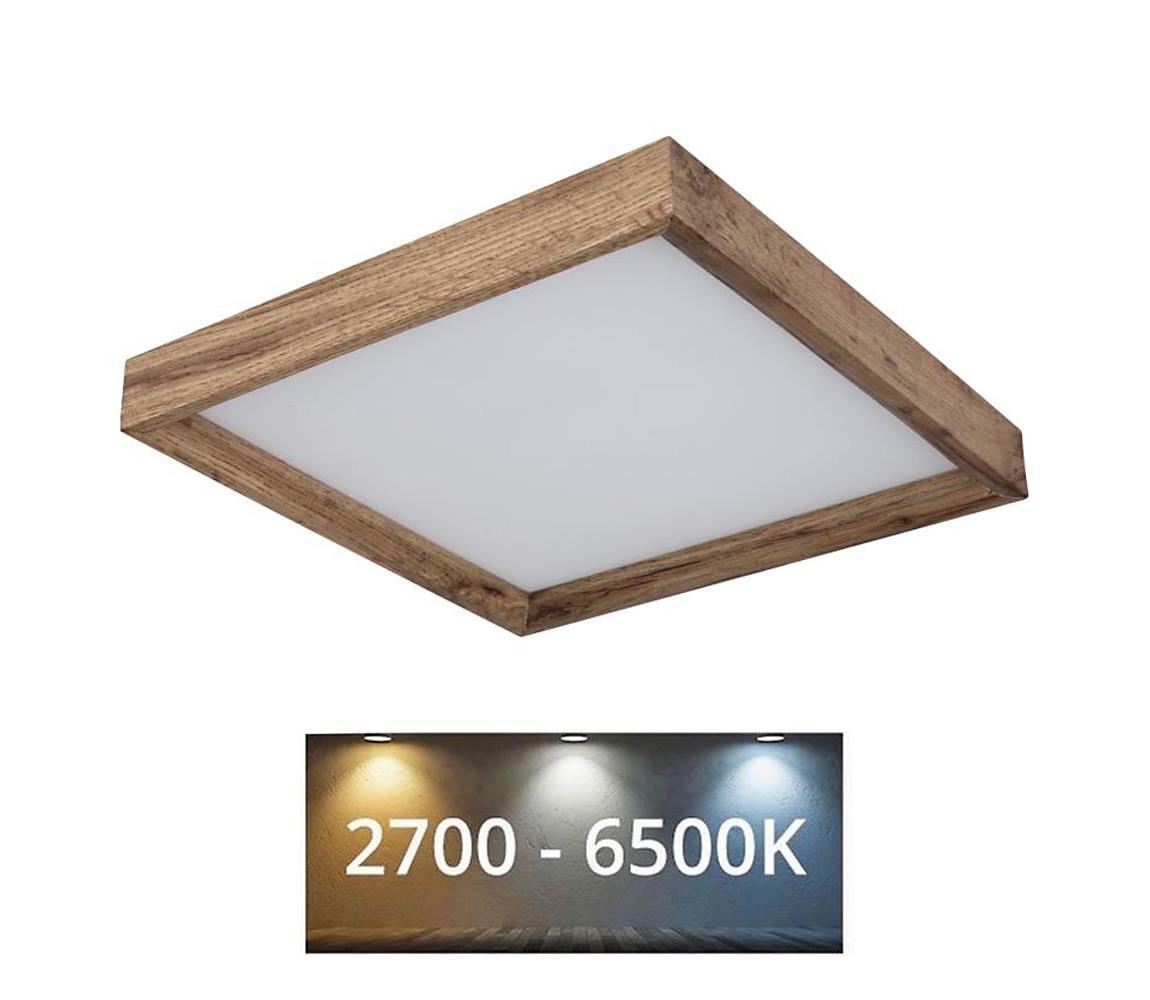 Globo LED Stropné svietidlo CINDERELLA LED/12W/230V 30 cm 2700/4500/6500K 41595D1