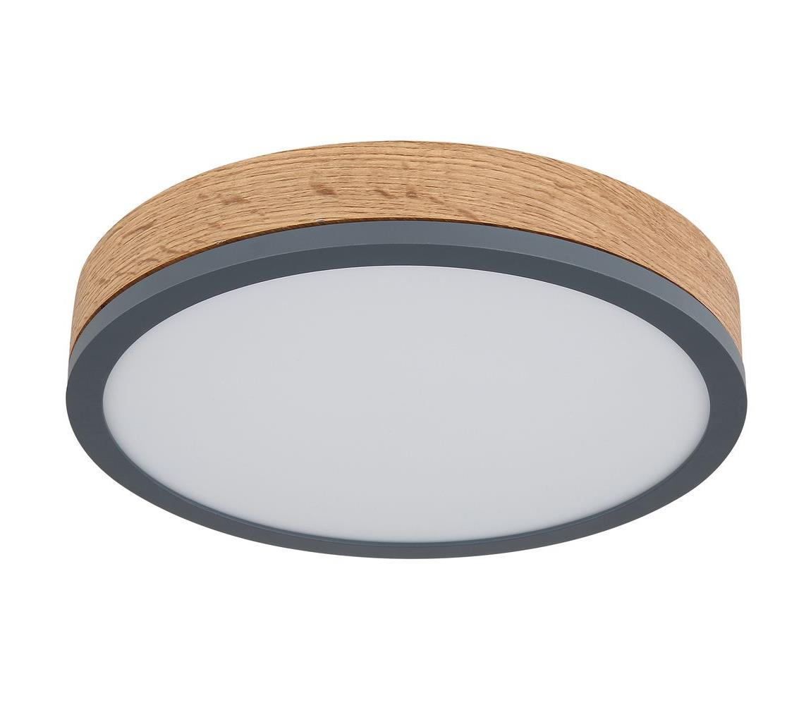 Globo LED Stropné svietidlo DORO LED/12W/230V pr. 30 cm