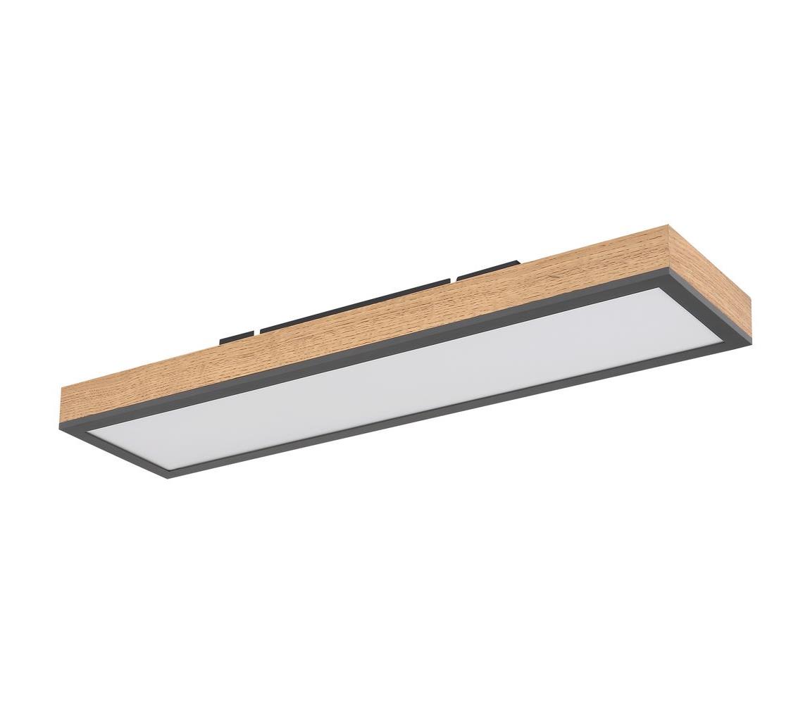 Globo LED Stropné svietidlo DORO LED/18W/230V