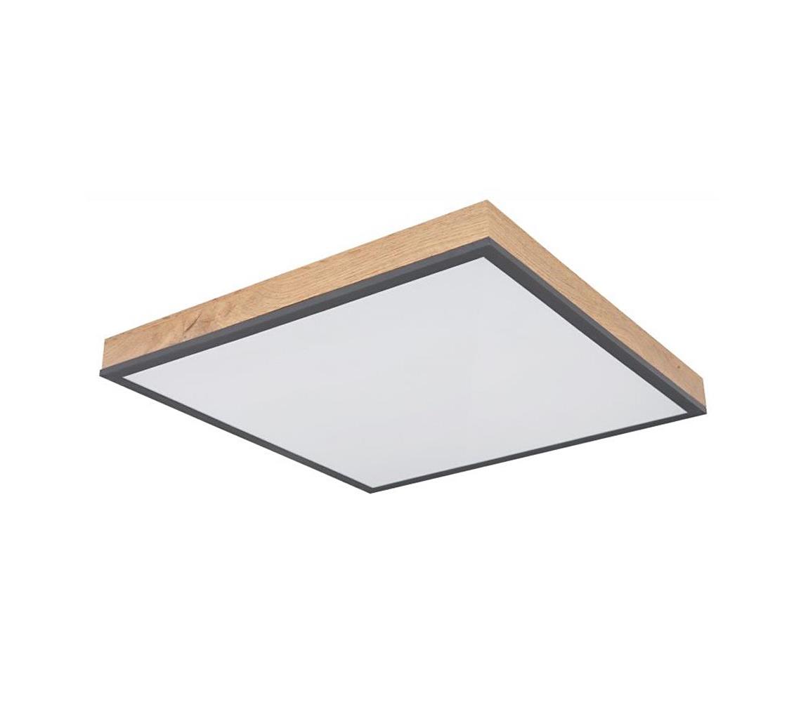 Globo LED Stropné svietidlo DORO LED/24W/230V 416080WD2