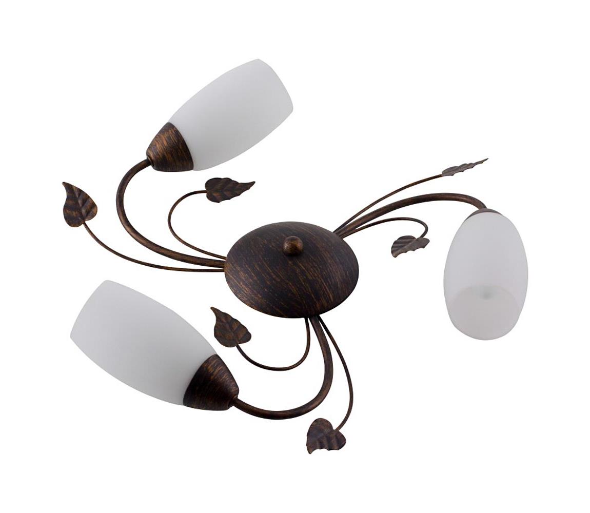 Globo Prisadený luster VENEZIA 3xE14/40W/230V 60800323X