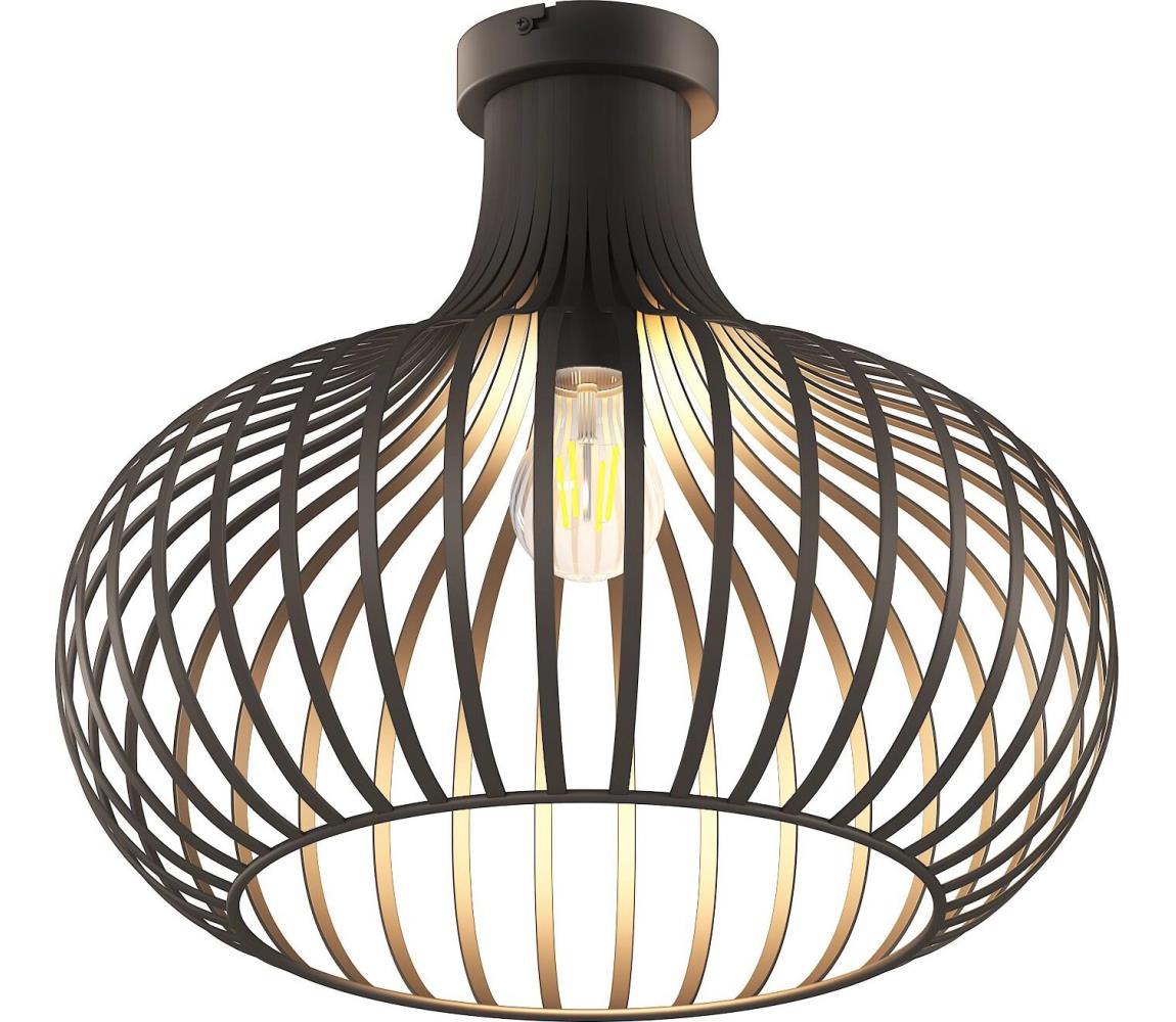 Globo Stropné svietidlo MATEO 1xE27/40W/230V