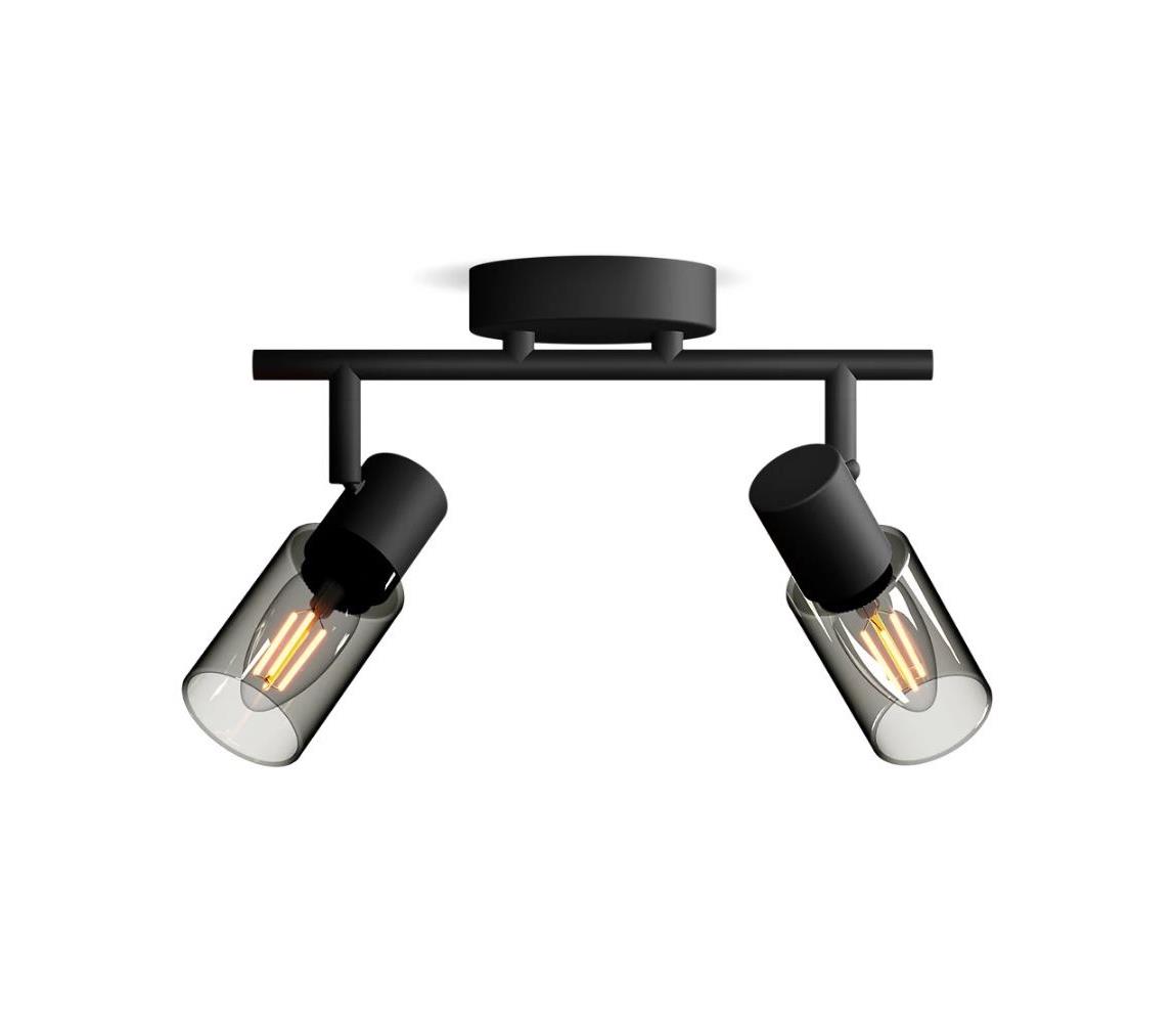 Philips Bodové svietidlo PALMS 2xE14/25W/230V