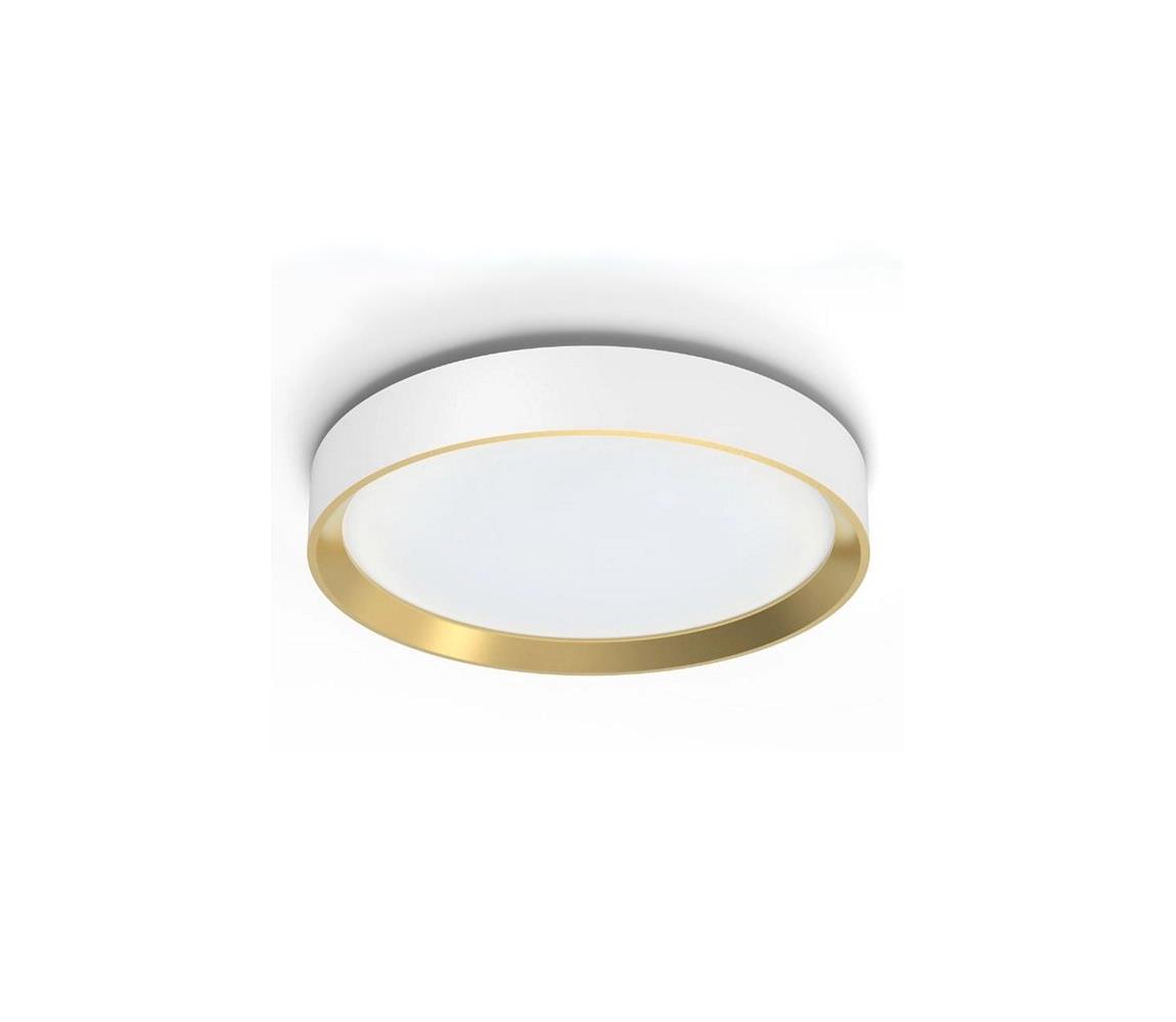 Philips LED Stmievateľné stropné svietidlo HANNO LED/24W/230V 4000K biela 8720169301399