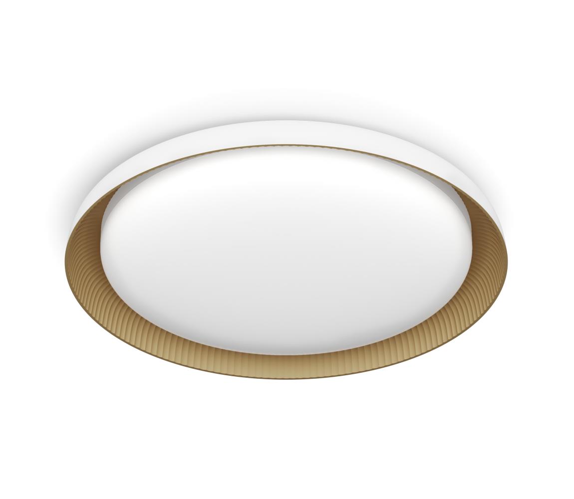 Philips LED Stmievateľné stropné svietidlo PEBBLO LED/10W/230V 4000K biela