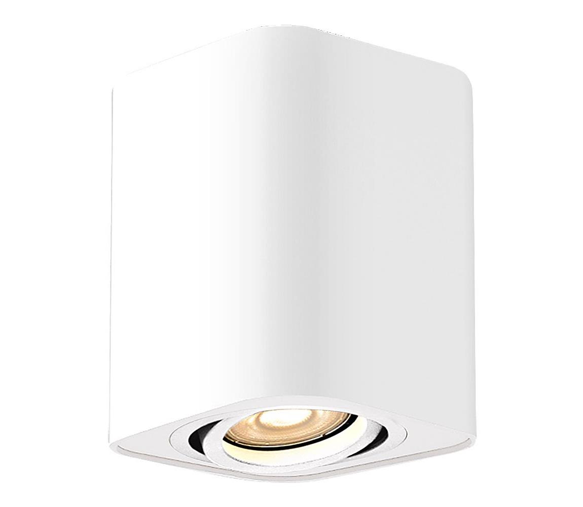 Rabalux Bodové svietidlo KOBALD 1xGU10/42W/230V biela 2050
