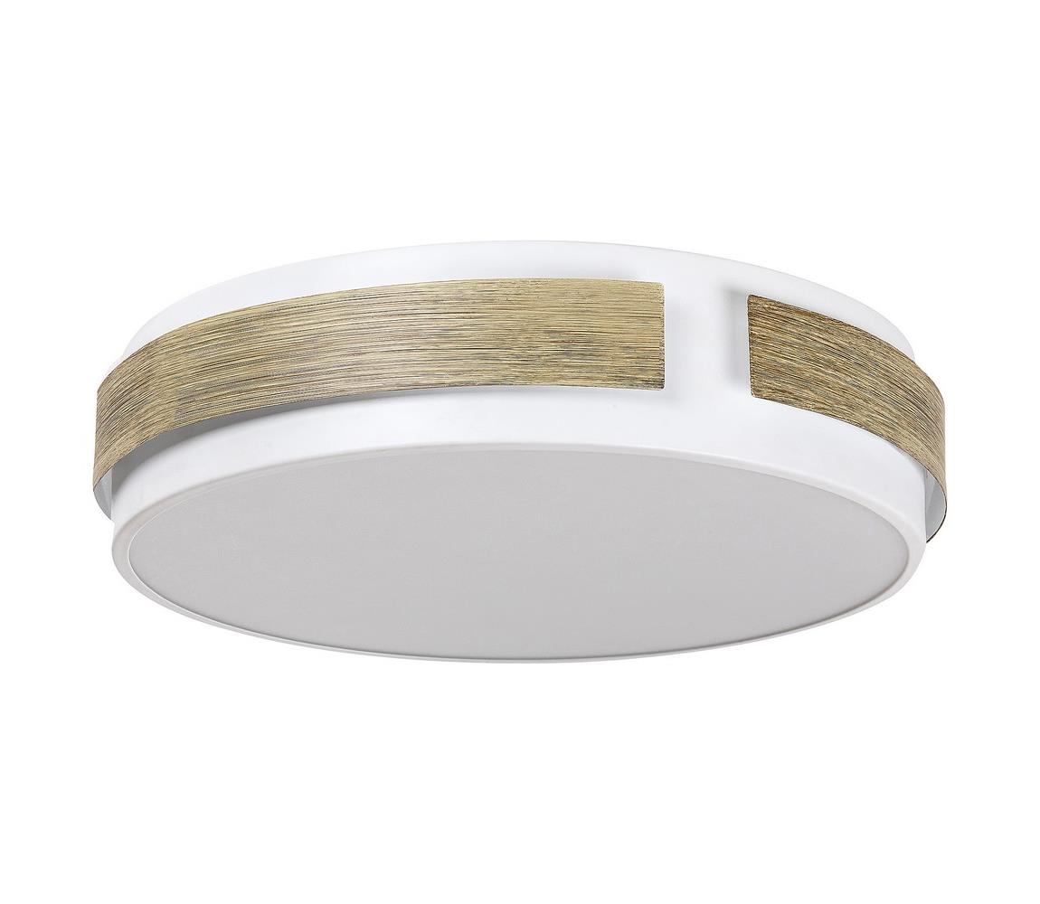 Rabalux LED Stmievateľné stropné svietidlo SALMA LED/24W/230V