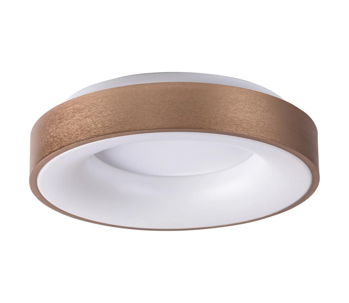 Rabalux LED Stropné svietidlo CARMELA LED/30W/230V