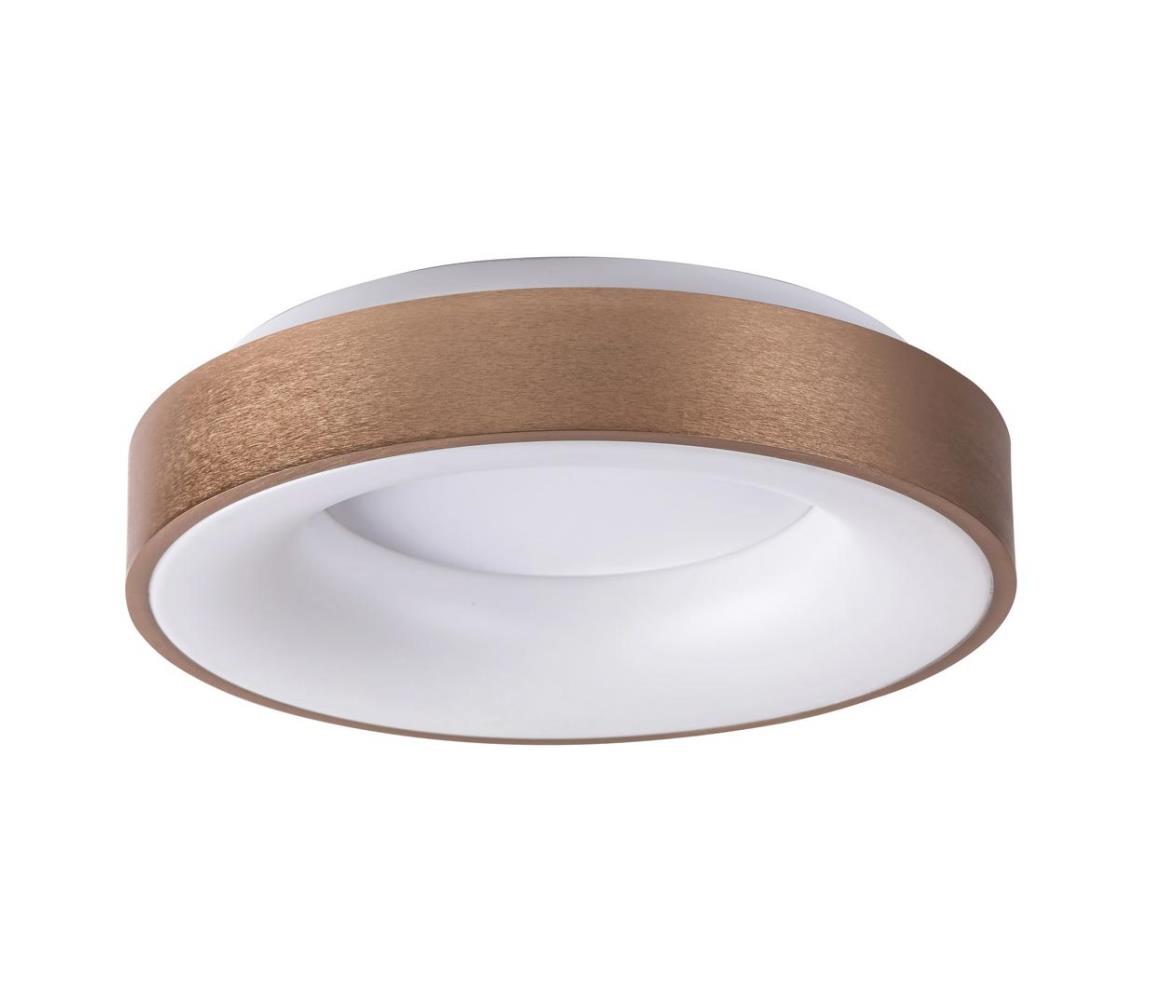 Rabalux LED Stropné svietidlo CARMELA LED/50W/230V