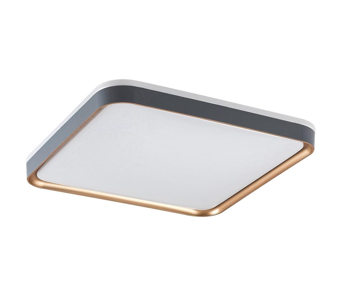 Rabalux LED Stropné svietidlo LIATRIS LED/26W/230V 3000K