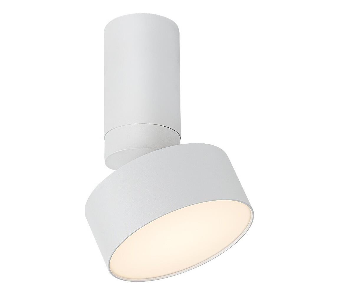 Rabalux LED Stropné svietidlo OVIDIA LED/10W/230V 3000K biela