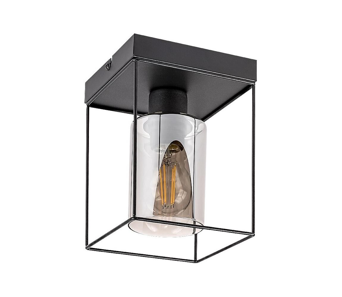 Rabalux Stropné svietidlo CHADWICK 1xE27/25W/230V